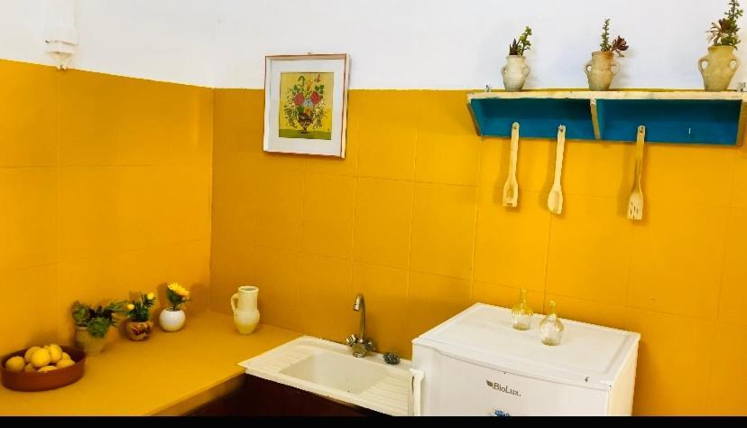 Apartment Citronnier House